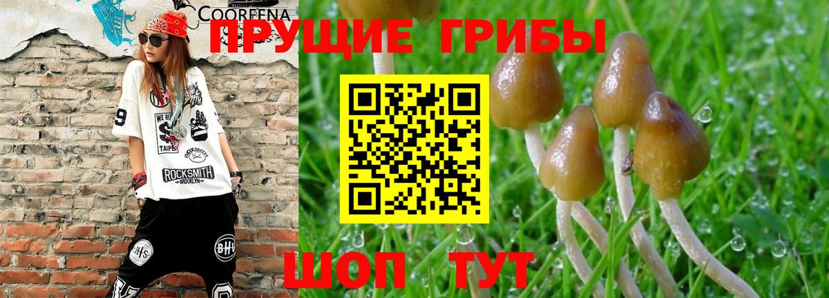 Галлюциногенные грибы ЛСД Вичуга